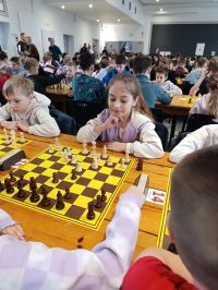 Mistrzostwa Powiatu Biłgorajskiego w Szachach