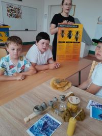 W świecie pszczół - wyjątkowe warsztaty pszczelarskie