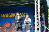 Wykopki 2014