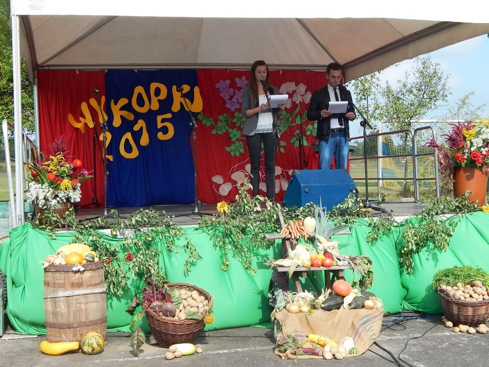 Festyn Rodzinny Wykopki 2015