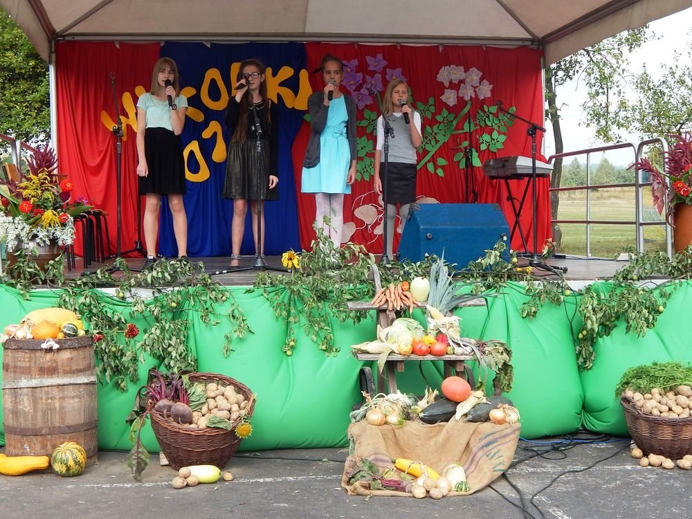 Festyn Rodzinny Wykopki 2015