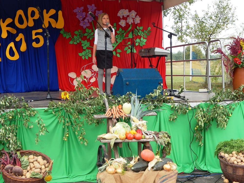 Festyn Rodzinny Wykopki 2015