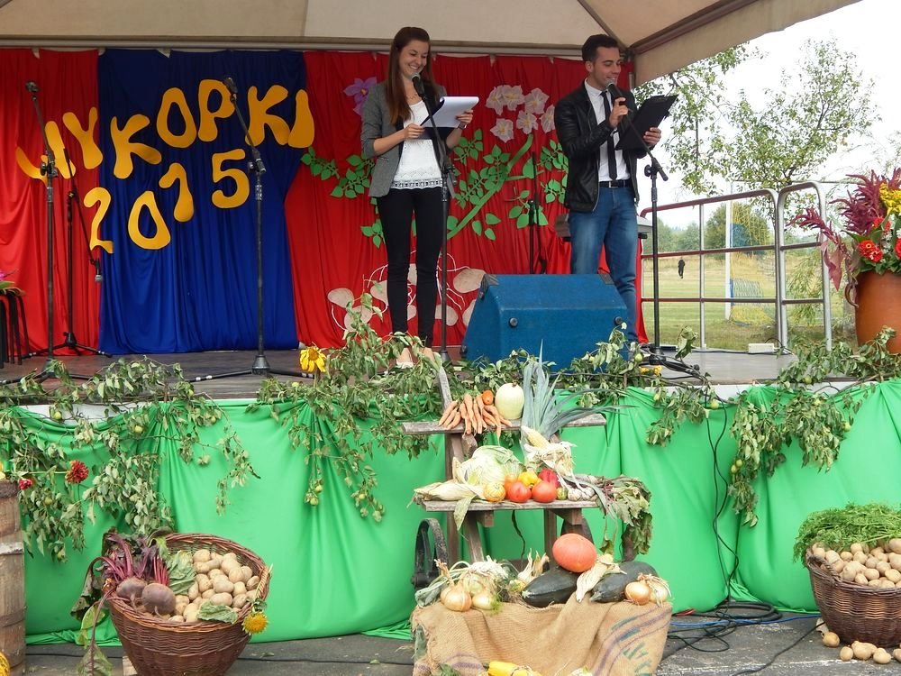 Festyn Rodzinny Wykopki 2015