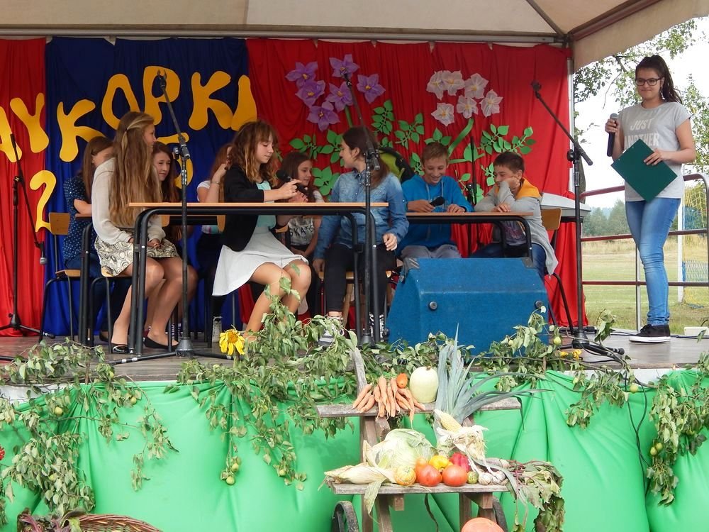 Festyn Rodzinny Wykopki 2015