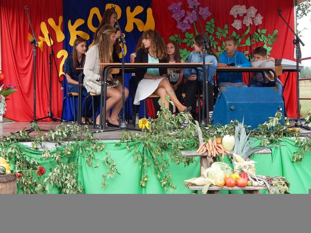 Festyn Rodzinny Wykopki 2015