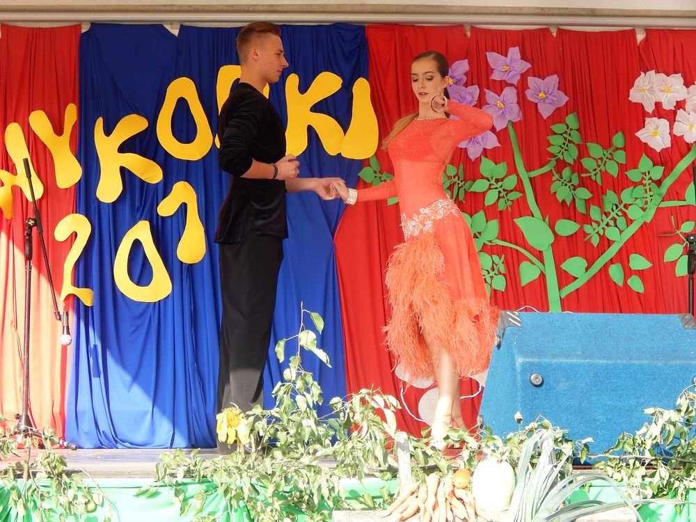 Festyn Rodzinny Wykopki 2015
