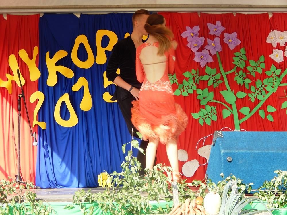 Festyn Rodzinny Wykopki 2015