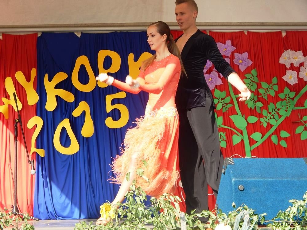 Festyn Rodzinny Wykopki 2015