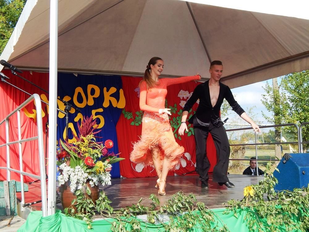 Festyn Rodzinny Wykopki 2015