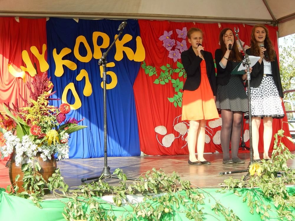 Festyn Rodzinny Wykopki 2015